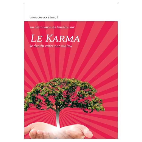 Le Karma - Le destin entre nos mains