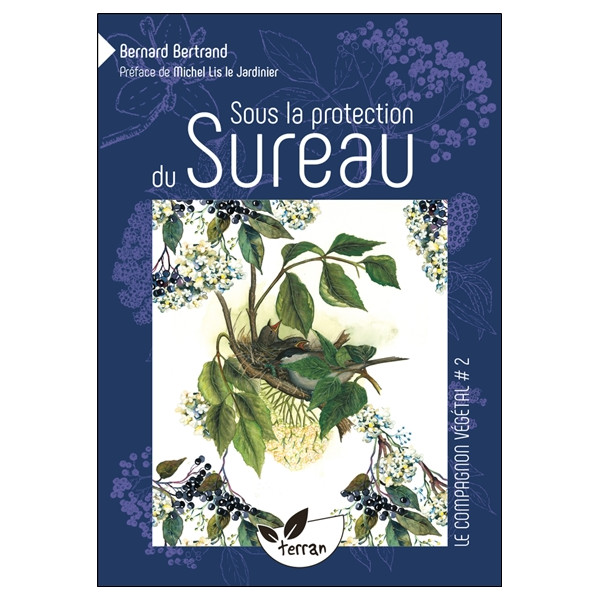 Sous la protection du Sureau