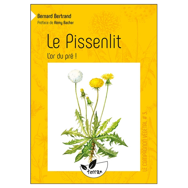 Le Pissenlit, l'or du pré ! - Vol. 3