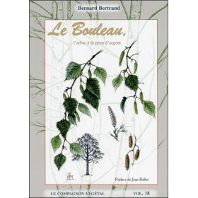Le Bouleau, l'arbre à la peau d'argent