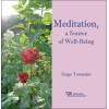 Meditation, a Source of Well-Being