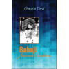Babaji - Journal indien