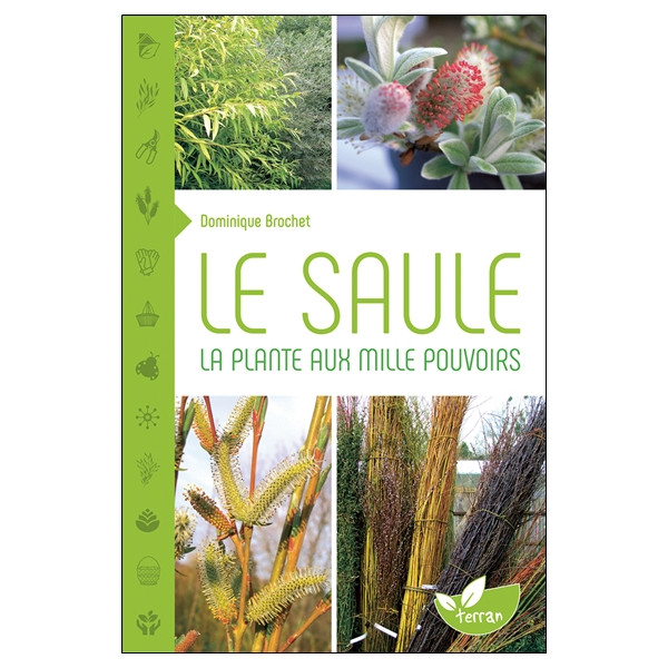 Le Saule - La plante aux mille pouvoirs