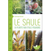 Le Saule - La plante aux mille pouvoirs