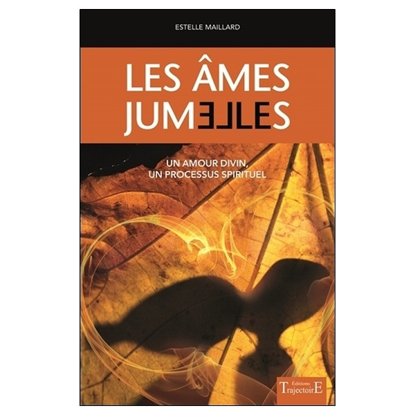 Les âmes jumelles - Un amour divin - Un processus spirituel