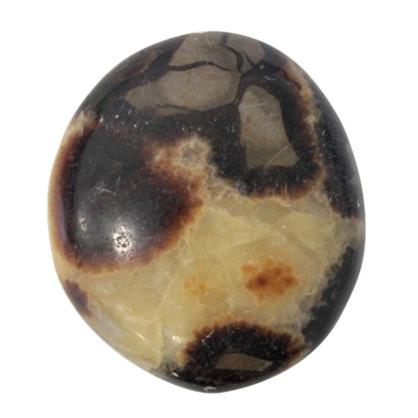 Galet Septaria - Pièce de 4 à 6 cm