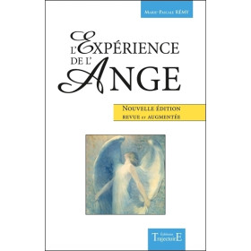 L'Expérience de l'Ange