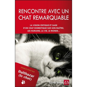 Rencontre avec un chat remarquable - Pensé et écrit par Balthazar le chat