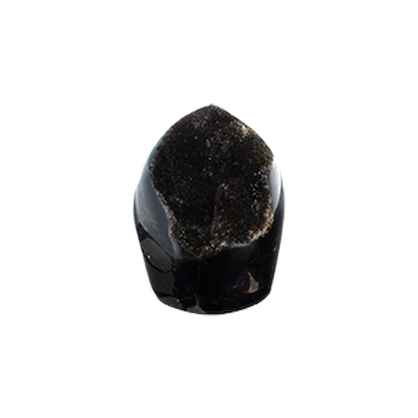 Forme Libre Septaria Sauvage - Pièce inférieure à 300 Gr