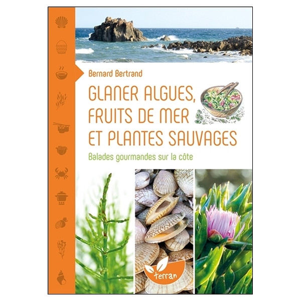 Glaner algues, fruits de mer et plantes sauvages - Balades gourmandes sur la côte