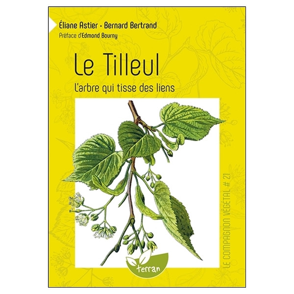 Le Tilleul - L'arbre qui tisse des liens - Vol. 21