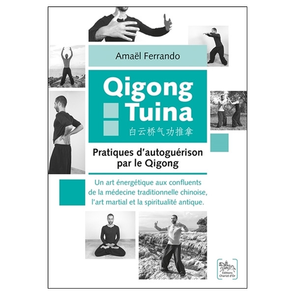 Qigong Tuina Tome 2 - Pratiques d'autoguérison par le Qigong