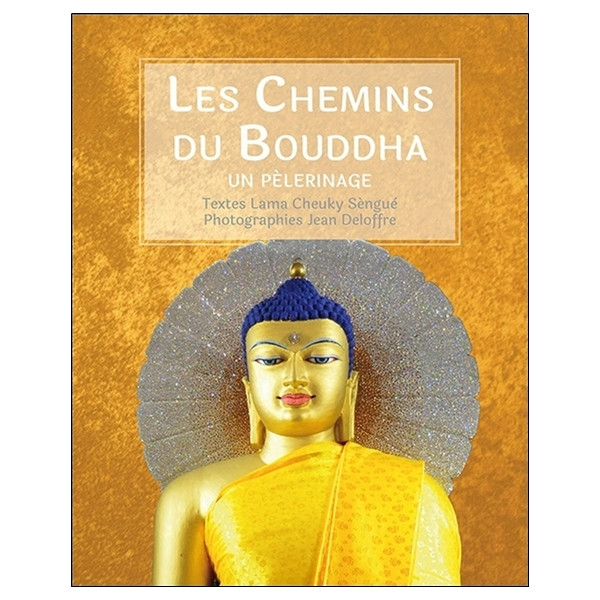 Les Chemins du Bouddha - Un pèlerinage