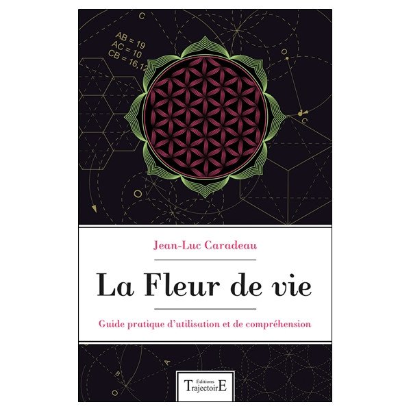 La Fleur de vie - Guide pratique d'utilisation et de compréhension