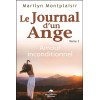Le Journal d'un Ange Tome 2 - Amour inconditionnel