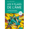 Les 9 plaies de l'âme - L'Ennéagramme : de la souffrance à l'abondance