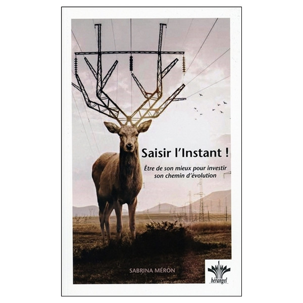 Saisir l'Instant ! Etre de son mieux pour investir son chemin d'évolution