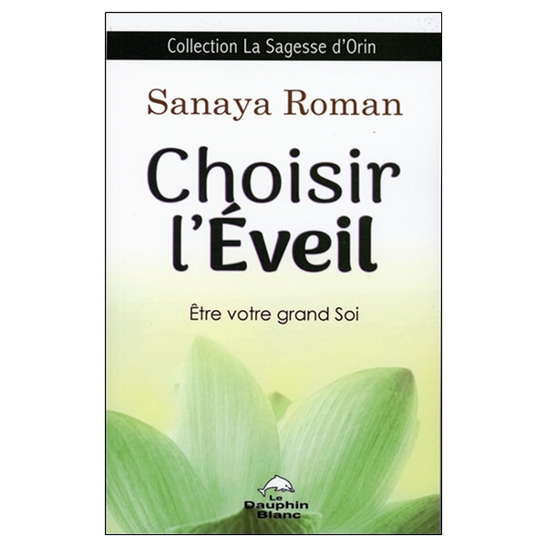 Choisir l'éveil - Etre votre grand Soi