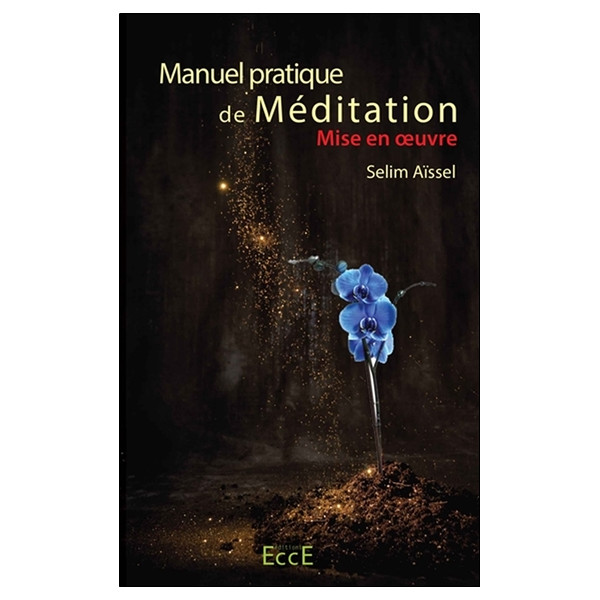 Manuel pratique de Méditation - Mise en oeuvre
