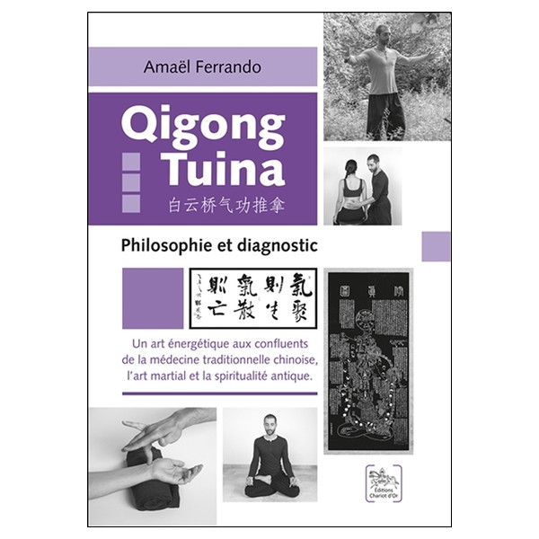 Qigong Tuina Tome 3 - Philosophie et diagnostic