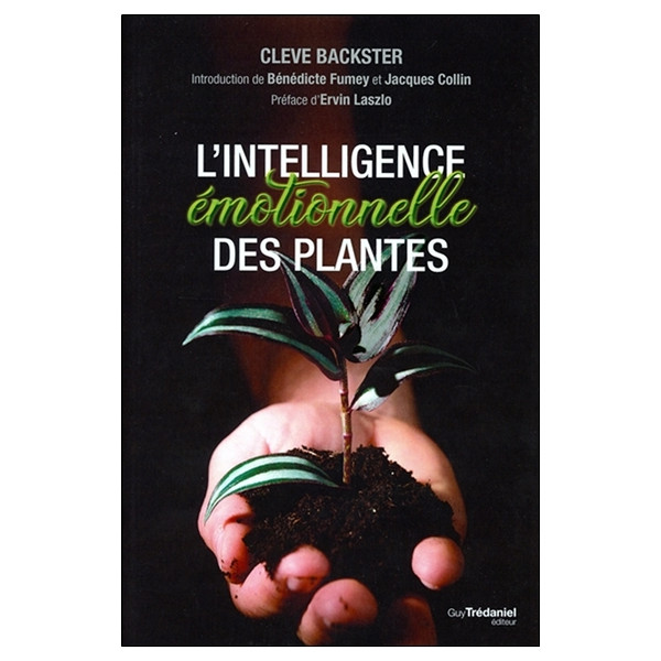 L'intelligence émotionnelle des plantes