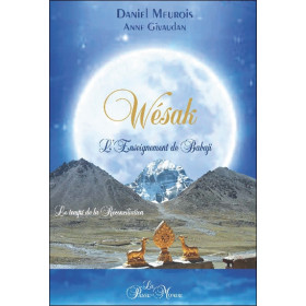 Wésak - L'Enseignement de Babaji - Le temps de la réconciliation