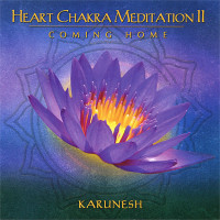 Heart Chakra Meditation 2 : Coming Home