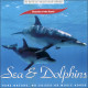 Sea & Dolphins