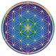 Autocollant attrape-soleil - Fleur de Vie - Flower of Life Mandala