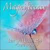 Magnificence - Best of 2016 - 2023