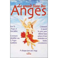 Grand livre des anges