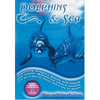 Dolphins And Sea