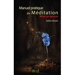 Manuel pratique de Méditation - Mise en oeuvre