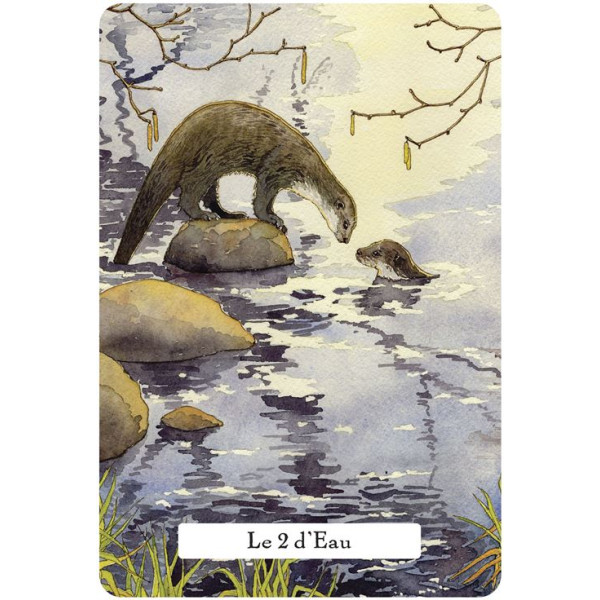 Le tarot de la sagesse des sorcières