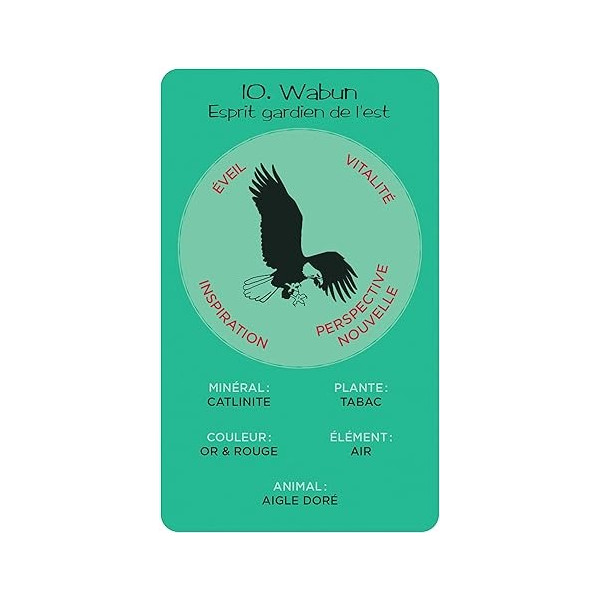 la roue de médecine de sun bear