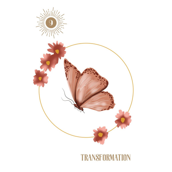 Oracle de l'ombre et de la lumiere