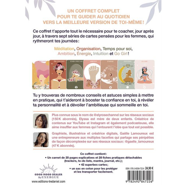 Ambitieuse 42 cartes pour reveler l' ambitieuse qui sommeil en toi