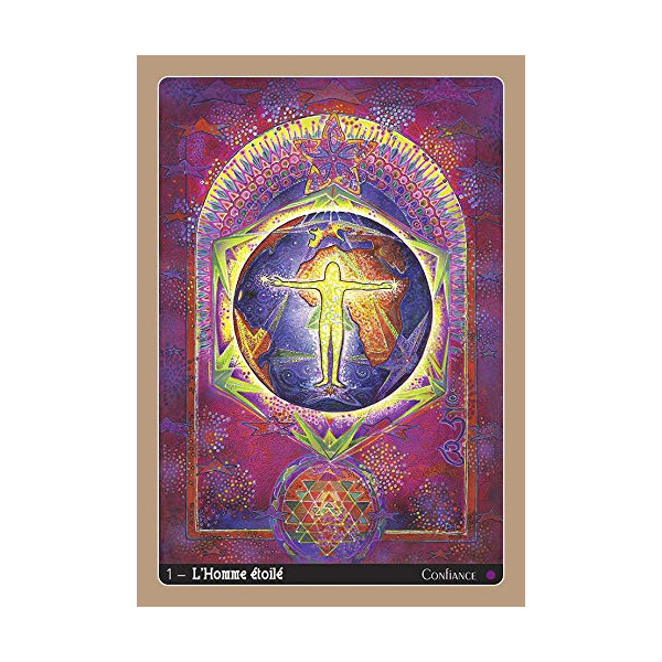 Le voyage de ritavan - et ses douze chats