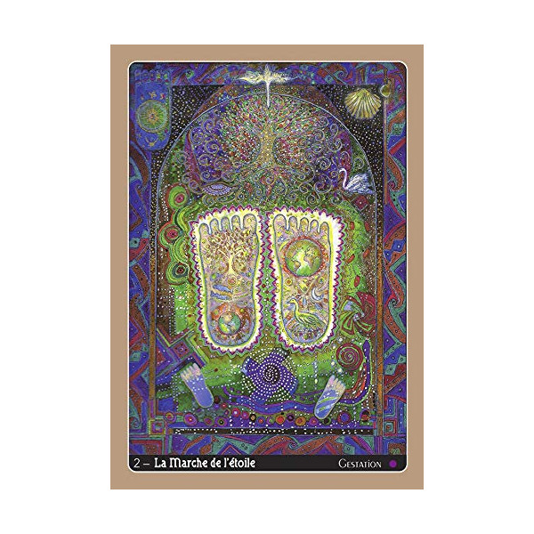 Le voyage de ritavan - et ses douze chats