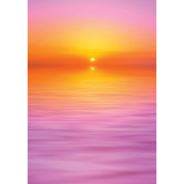 La fleur de vie : 52 cartes oracle pour se connecter à la sagesse dAstar