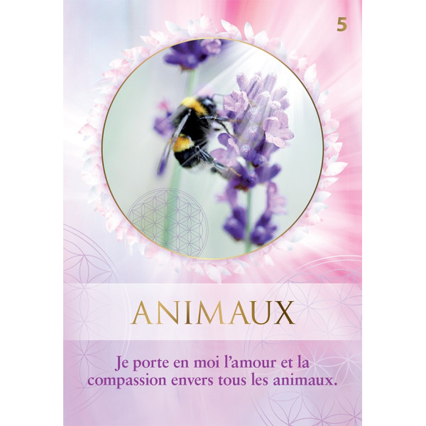 La fleur de vie pour sépanouir jour après jour : Avec 50 cartes Oracle