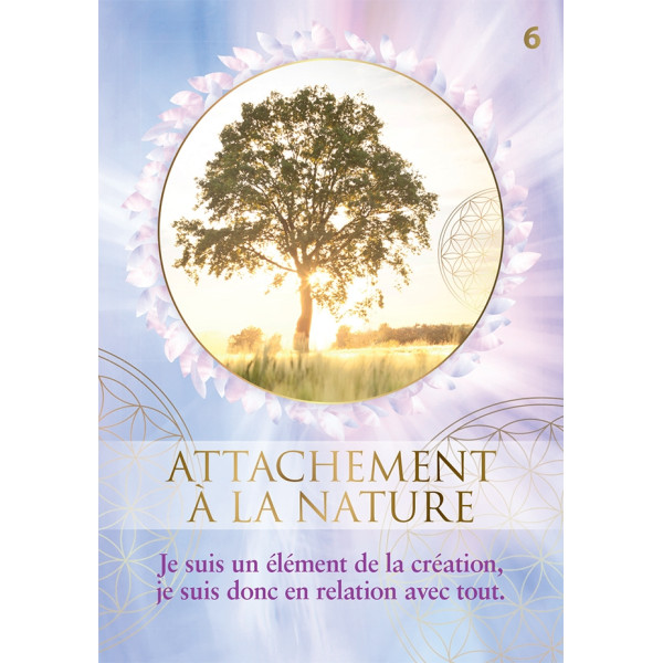 La fleur de vie pour sépanouir jour après jour : Avec 50 cartes Oracle