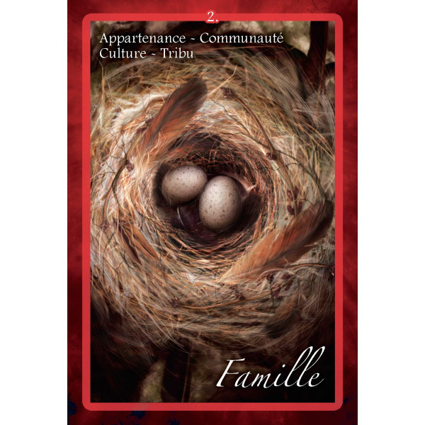 Le petit oracle des runes