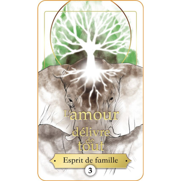 Messages de votre ame sœur