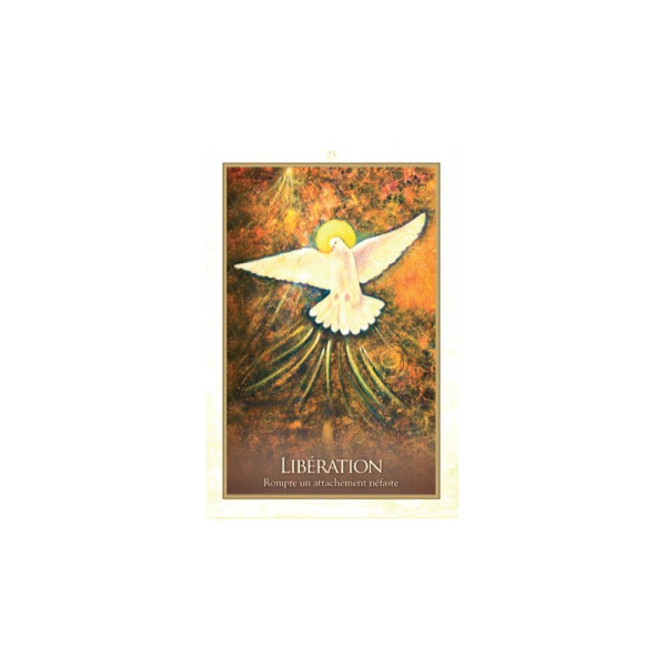 Coffret l'oracle de gaia