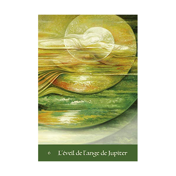 Le tarot noir : Imagerie médiévale populaire. Avec un tarot de 78 lames