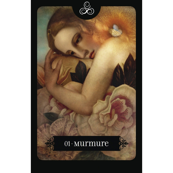 Le tarot noir : Imagerie médiévale populaire. Avec un tarot de 78 lames
