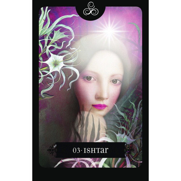 Le tarot noir : Imagerie médiévale populaire. Avec un tarot de 78 lames