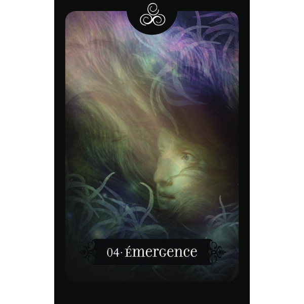 Le tarot noir : Imagerie médiévale populaire. Avec un tarot de 78 lames