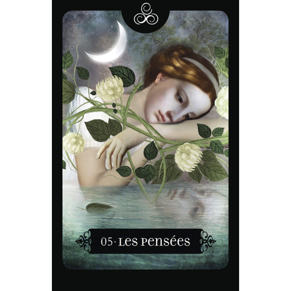 Coffret l'oracle des animaux divins